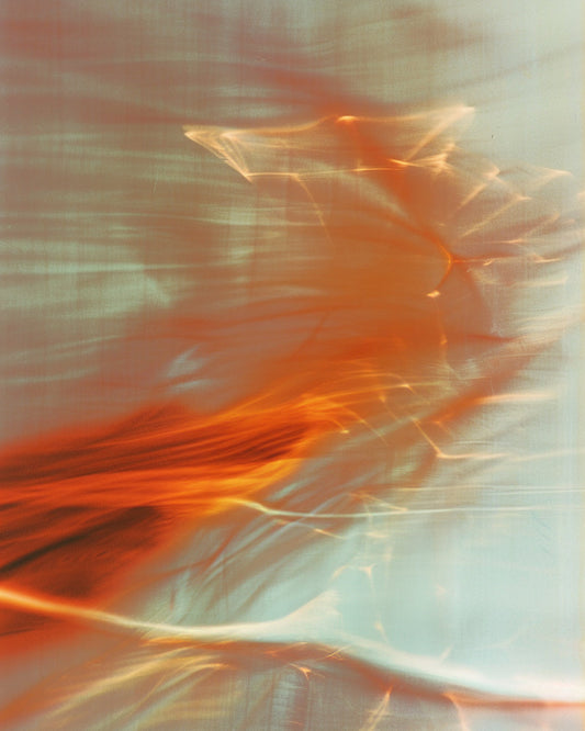 Transparent vs. Opaque: The Two Faces of Fragrance